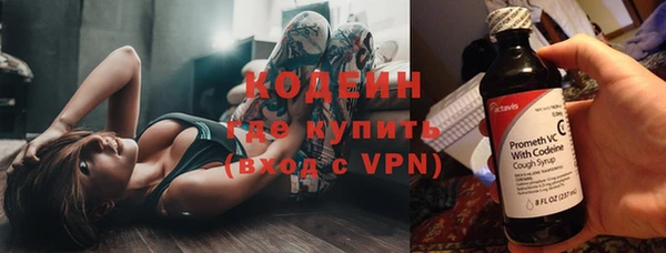 индика Беломорск
