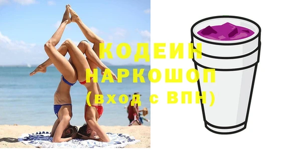 индика Беломорск