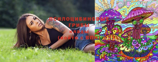индика Беломорск