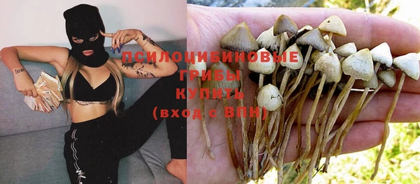 дживик Белокуриха