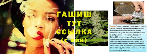 индика Беломорск