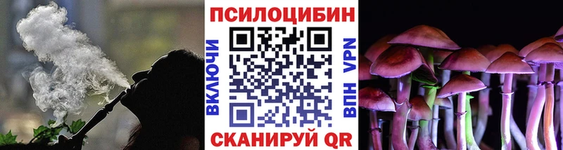 Купить закладки  Новоаннинский  Псилоцибиновые грибы Psilocybine cubensis 